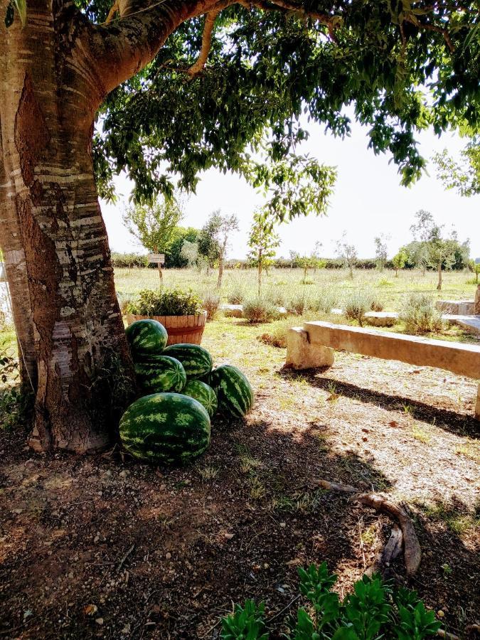 Masseria Cataldo Corigliano dʼOtranto エクステリア 写真