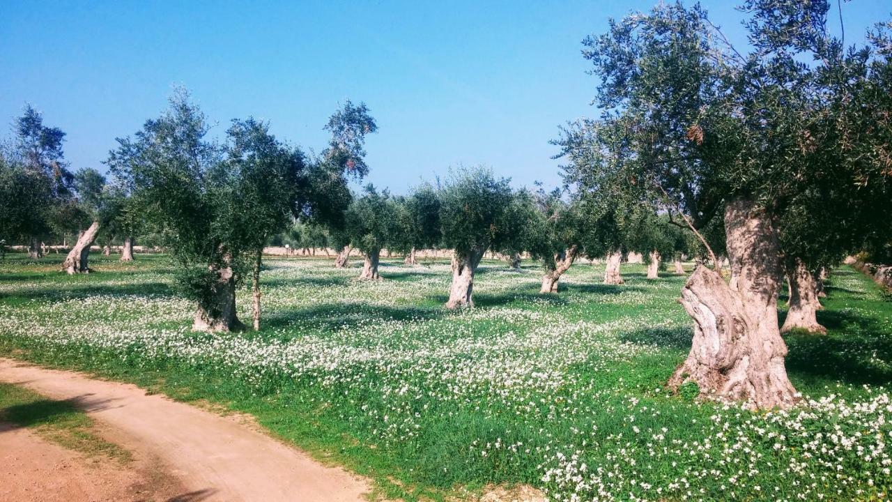 Masseria Cataldo Corigliano dʼOtranto エクステリア 写真